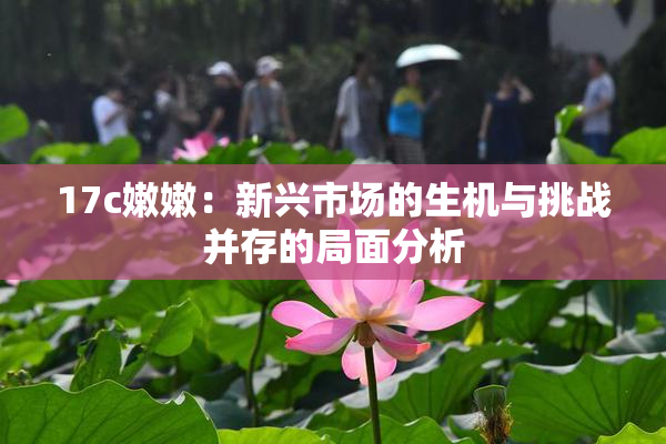 17c嫩嫩：新兴市场的生机与挑战并存的局面分析