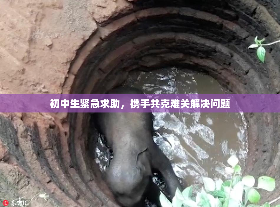 初中生紧急求助，携手共克难关解决问题