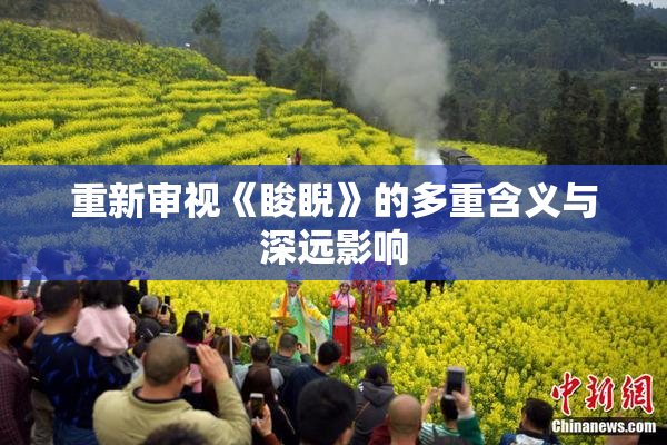 重新审视《睃睨》的多重含义与深远影响