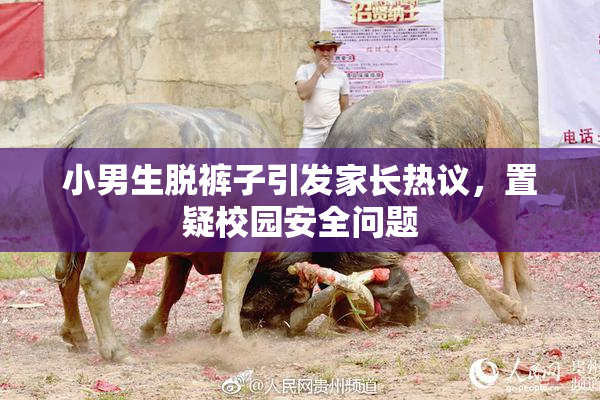 小男生脱裤子引发家长热议，置疑校园安全问题