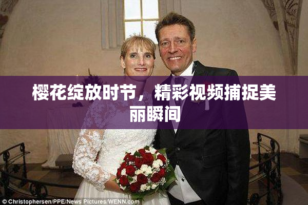 樱花绽放时节，精彩视频捕捉美丽瞬间