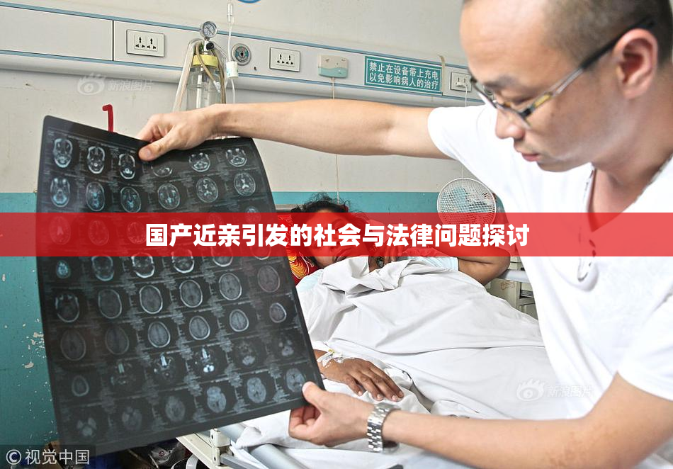 国产近亲引发的社会与法律问题探讨