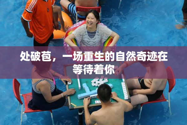 处破苞，一场重生的自然奇迹在等待着你