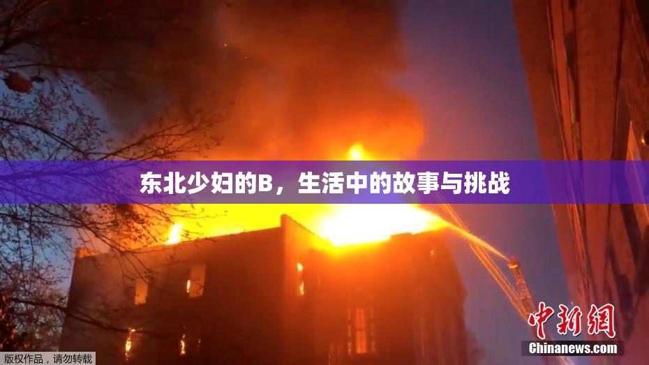 东北少妇的B，生活中的故事与挑战