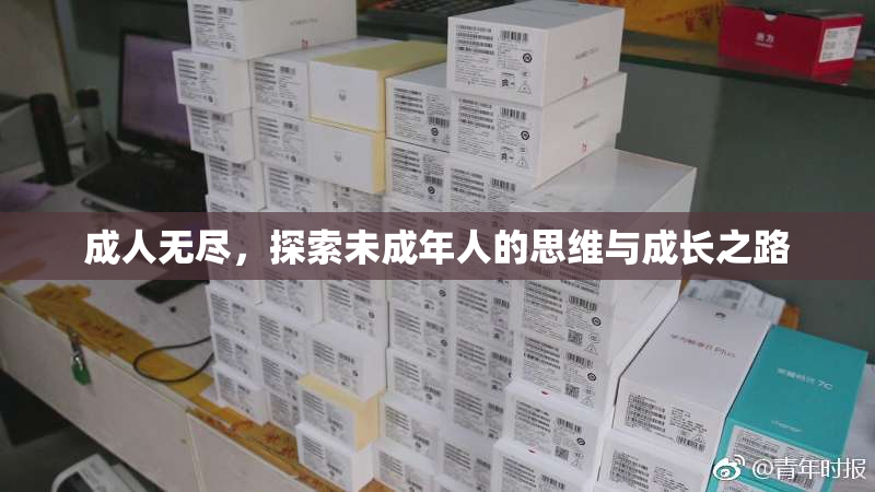 成人无尽，探索未成年人的思维与成长之路