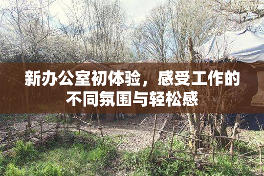 新办公室初体验，感受工作的不同氛围与轻松感