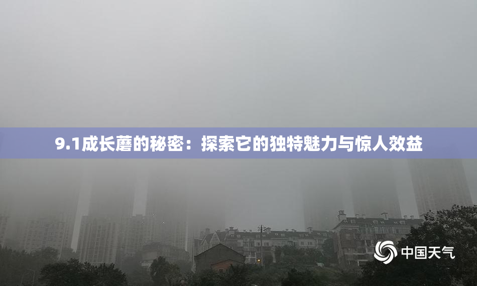 9.1成长蘑的秘密：探索它的独特魅力与惊人效益