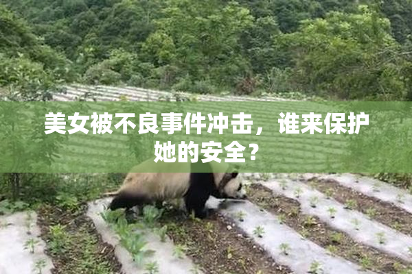 美女被不良事件冲击，谁来保护她的安全？