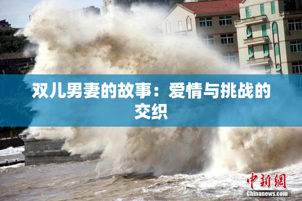 双儿男妻的故事：爱情与挑战的交织