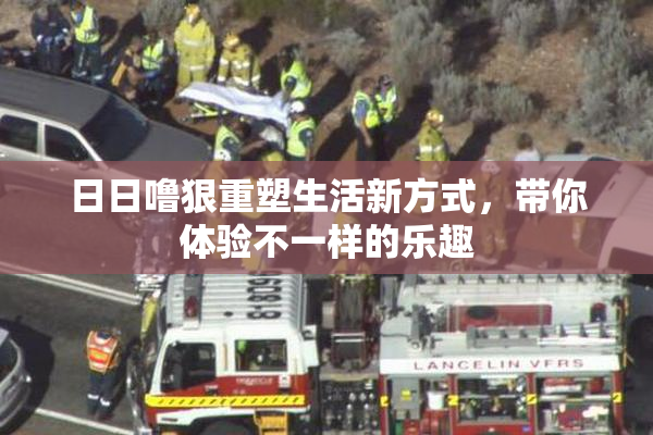 日日噜狠重塑生活新方式，带你体验不一样的乐趣