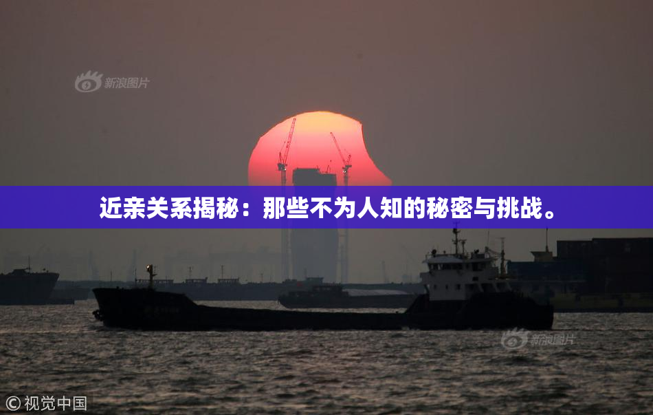 近亲关系揭秘：那些不为人知的秘密与挑战。