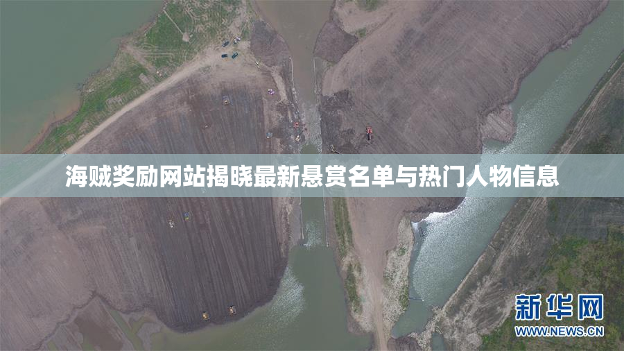海贼奖励网站揭晓最新悬赏名单与热门人物信息
