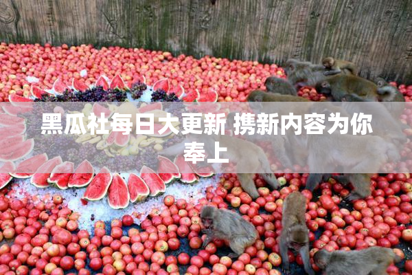黑瓜社每日大更新 携新内容为你奉上