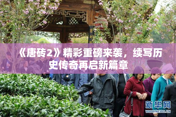 《唐砖2》精彩重磅来袭，续写历史传奇再启新篇章