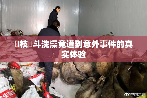 狛枝凪斗洗澡竟遭到意外事件的真实体验