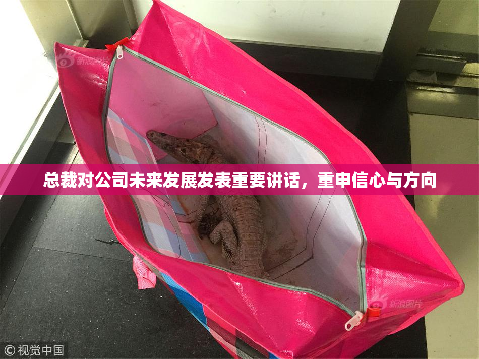 总裁对公司未来发展发表重要讲话，重申信心与方向