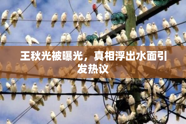 王秋光被曝光，真相浮出水面引发热议