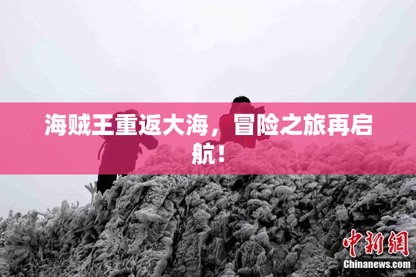 海贼王重返大海，冒险之旅再启航！