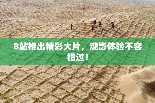 B站推出精彩大片，观影体验不容错过！
