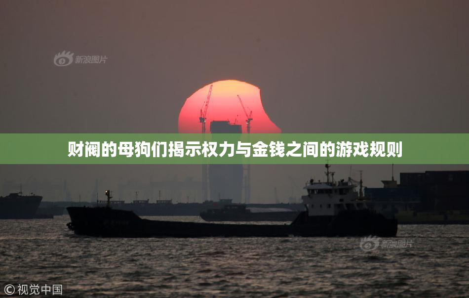 财阀的母狗们揭示权力与金钱之间的游戏规则