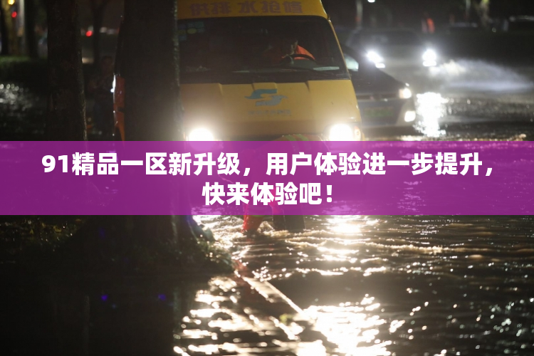 91精品一区新升级，用户体验进一步提升，快来体验吧！