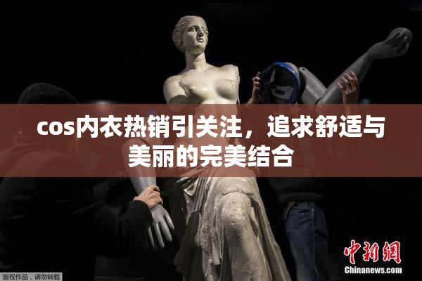 cos内衣热销引关注，追求舒适与美丽的完美结合