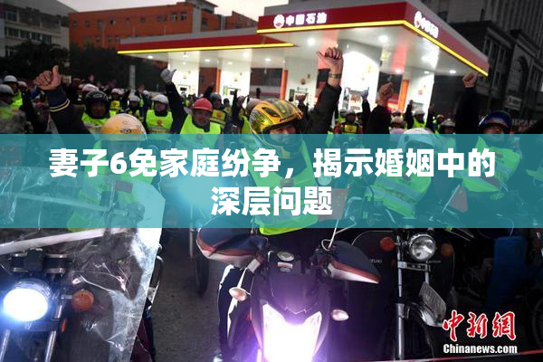 妻子6免家庭纷争，揭示婚姻中的深层问题