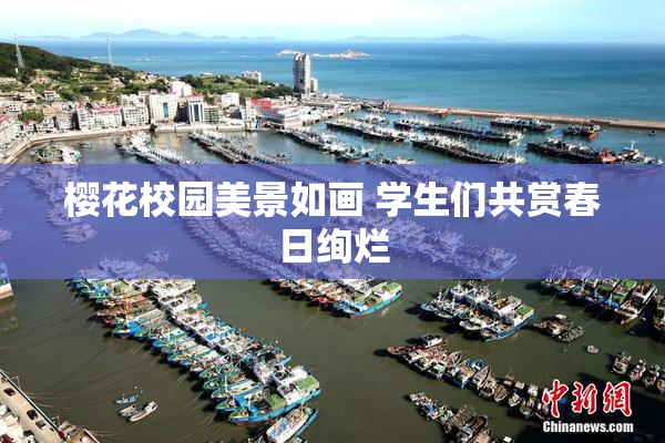 樱花校园美景如画 学生们共赏春日绚烂