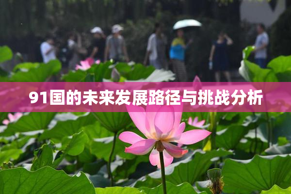 91国的未来发展路径与挑战分析