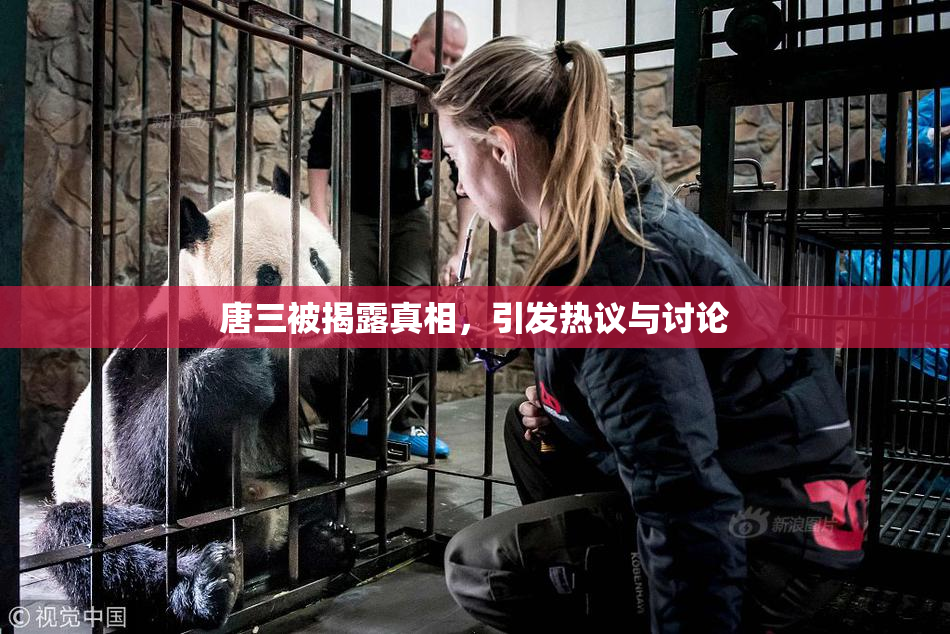 唐三被揭露真相，引发热议与讨论
