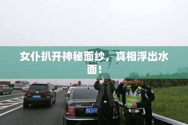 女仆扒开神秘面纱，真相浮出水面！
