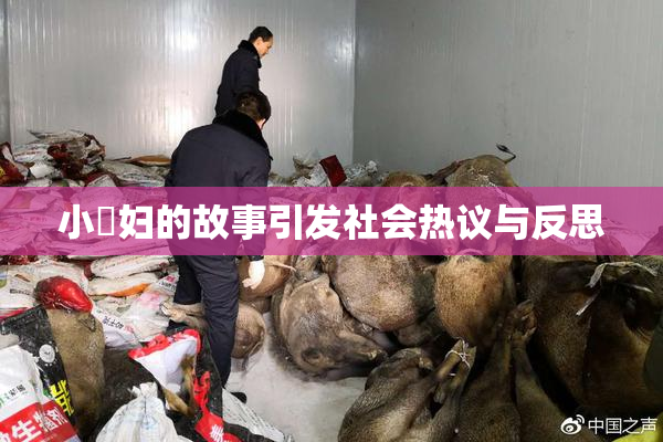 小婬妇的故事引发社会热议与反思