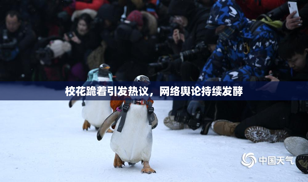 校花跪着引发热议，网络舆论持续发酵