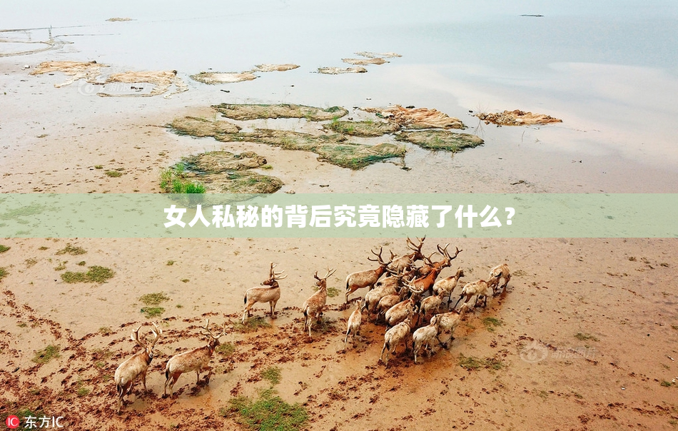 女人私秘的背后究竟隐藏了什么？