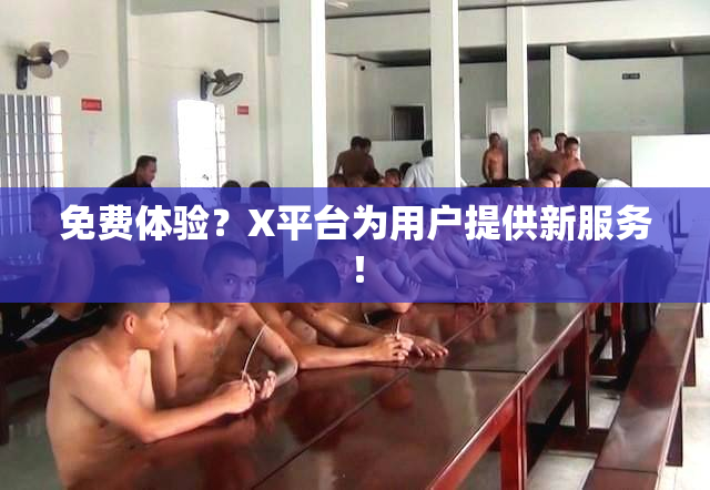 免费体验？X平台为用户提供新服务！
