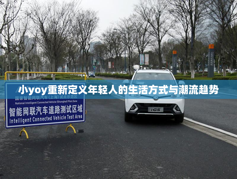 小yoy重新定义年轻人的生活方式与潮流趋势