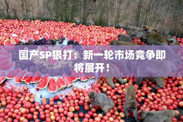 国产SP狠打：新一轮市场竞争即将展开！