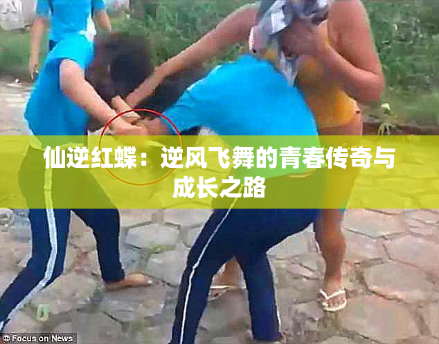 仙逆红蝶：逆风飞舞的青春传奇与成长之路