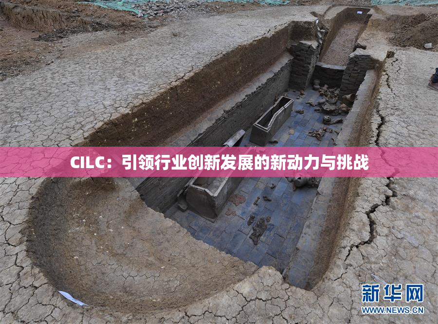 CILC：引领行业创新发展的新动力与挑战