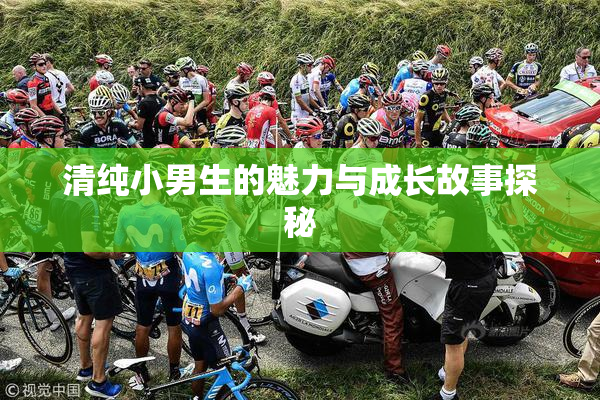 清纯小男生的魅力与成长故事探秘