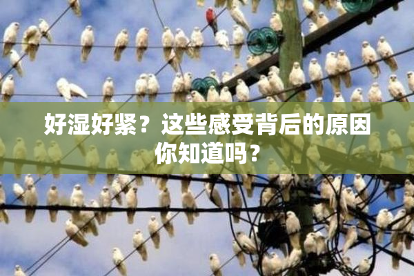 好湿好紧？这些感受背后的原因你知道吗？