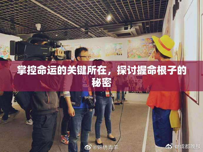 掌控命运的关键所在，探讨握命根子的秘密