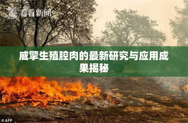 威擎生殖腔肉的最新研究与应用成果揭秘