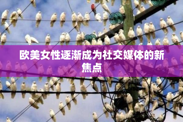 欧美女性逐渐成为社交媒体的新焦点