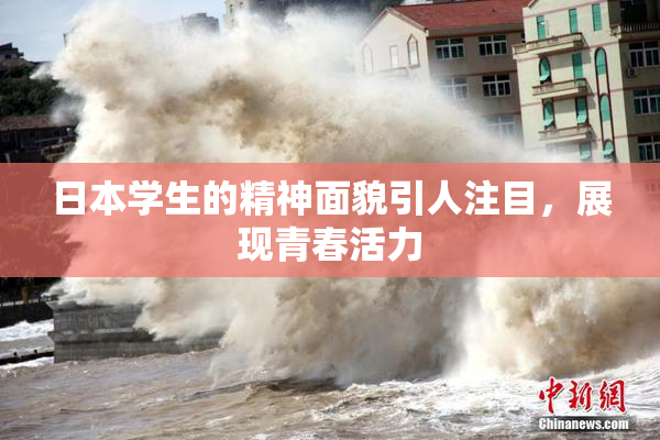 日本学生的精神面貌引人注目，展现青春活力