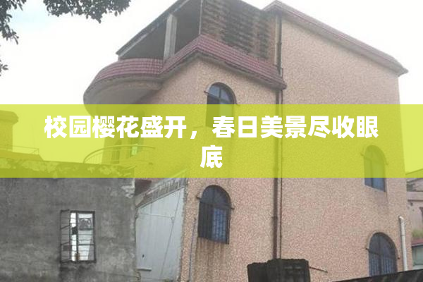 校园樱花盛开，春日美景尽收眼底