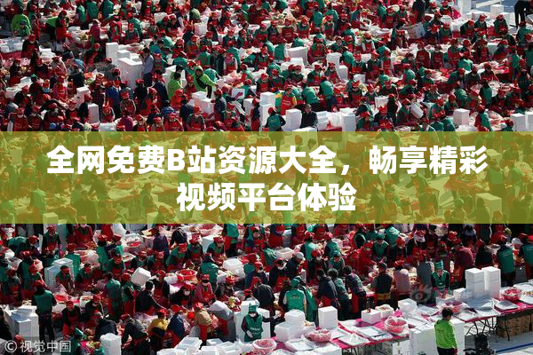 全网免费B站资源大全，畅享精彩视频平台体验