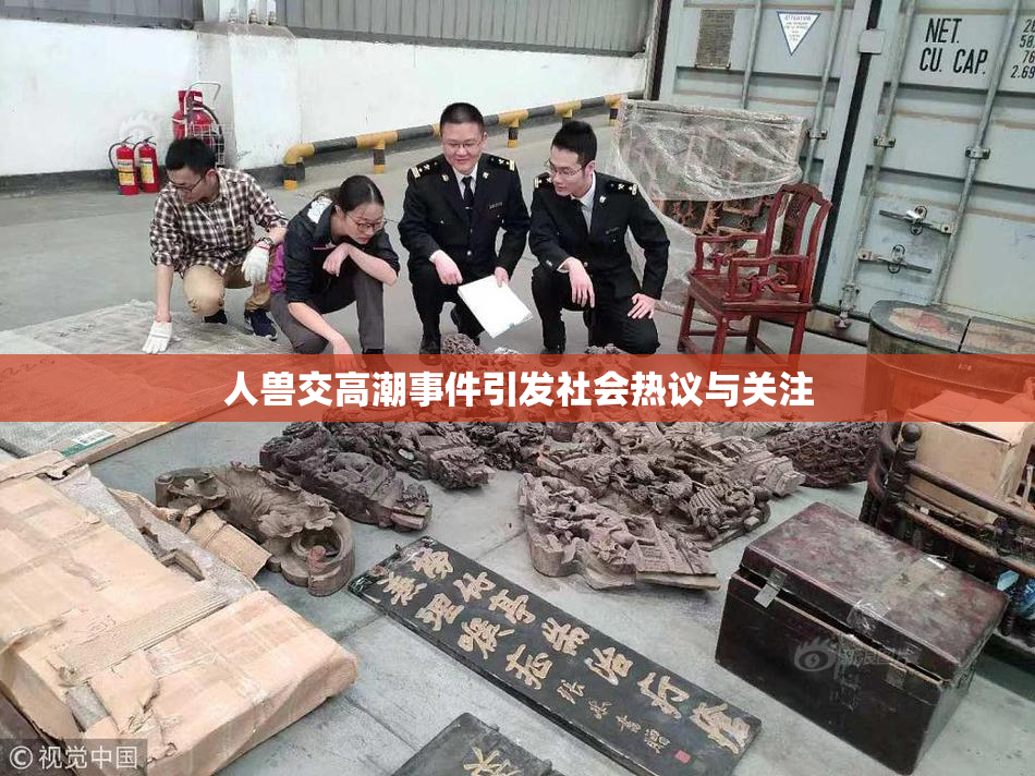 人兽交高潮事件引发社会热议与关注