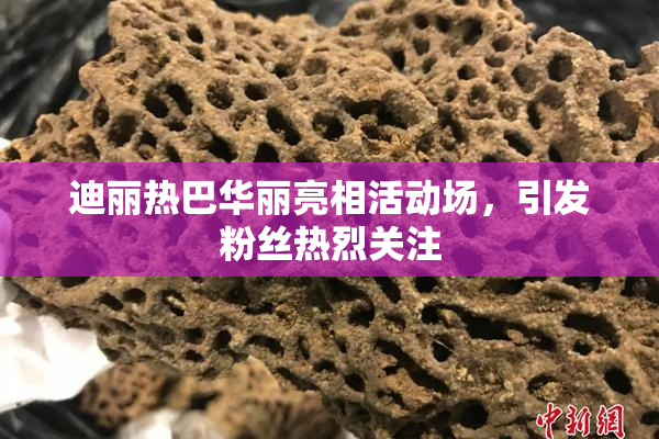 迪丽热巴华丽亮相活动场，引发粉丝热烈关注