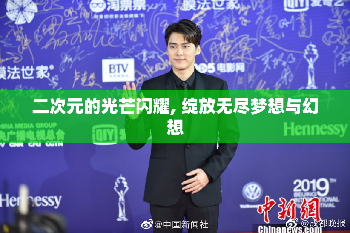 二次元的光芒闪耀, 绽放无尽梦想与幻想
